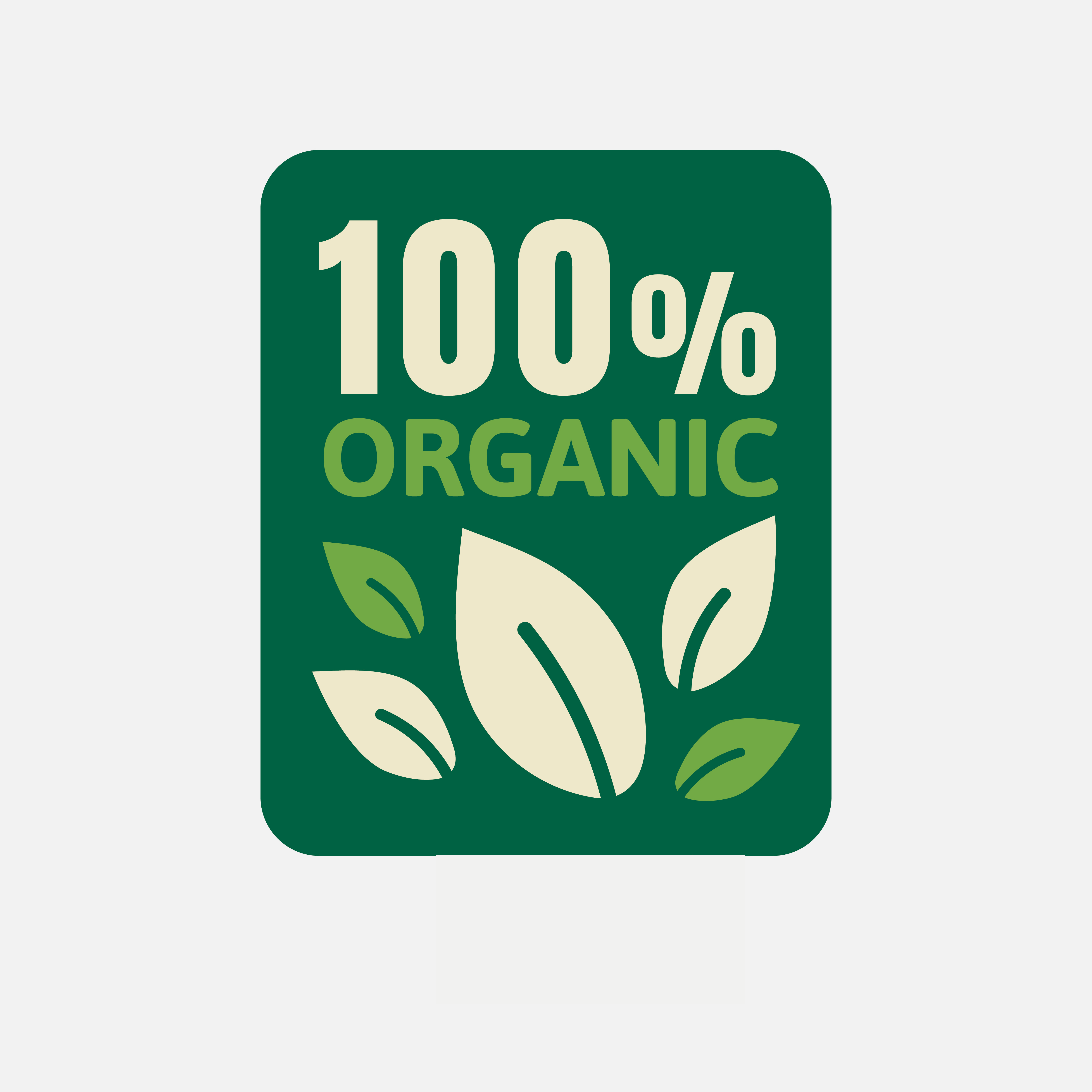 100% Organic Coco Peat Products